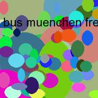 bus muenchen freiburg