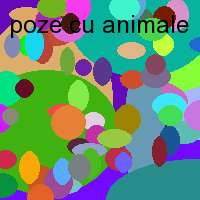 poze cu animale